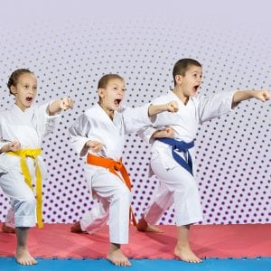 Martial Arts Lessons for Kids in Woodbridge VA - Punching Focus Kids Sync